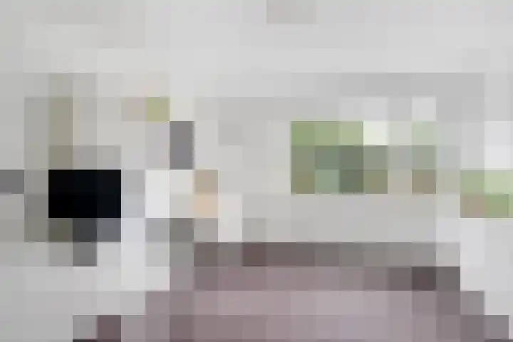 Kroeskarperstraat 22 Hengelo thumbnail 36