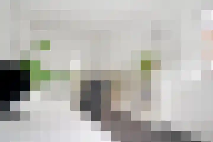 Kroeskarperstraat 22 Hengelo thumbnail 43