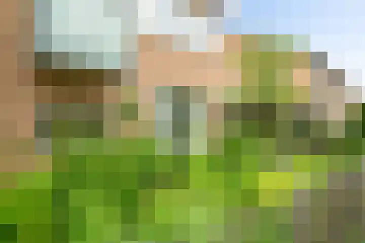 Kroeskarperstraat 22 Hengelo thumbnail 7