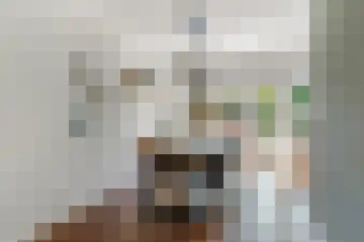 Kroeskarperstraat 34 Hengelo thumbnail 10