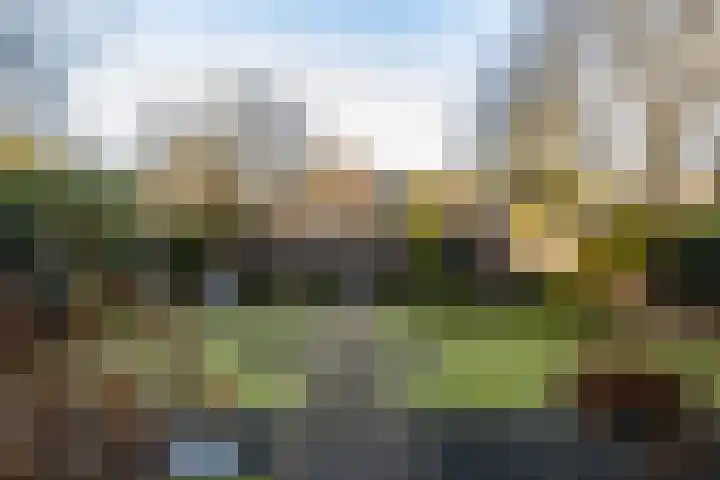 Kroeskarperstraat 66 Hengelo thumbnail 36