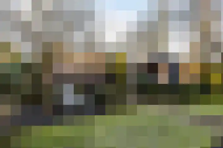 Kroeskarperstraat 66 Hengelo thumbnail 37