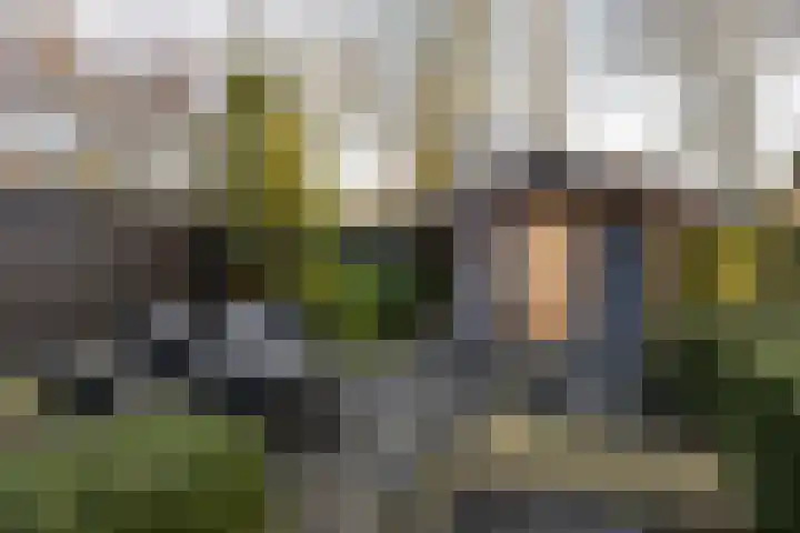 Kroeskarperstraat 66 Hengelo thumbnail 39