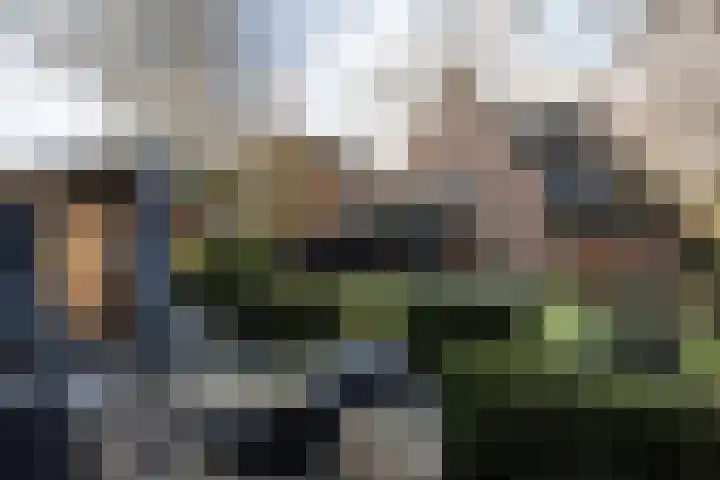 Kroeskarperstraat 66 Hengelo thumbnail 41
