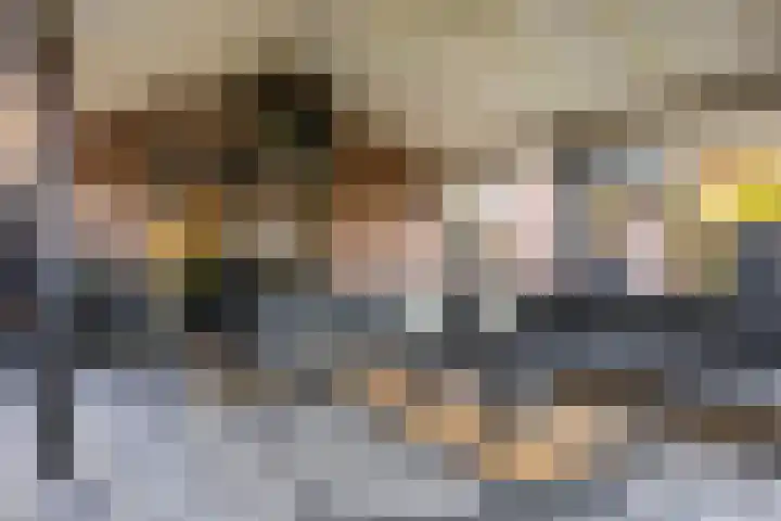 Kroeskarperstraat 66 Hengelo thumbnail 46