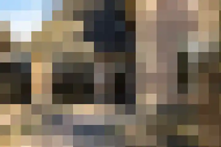 Kroeskarperstraat 66 Hengelo thumbnail 6
