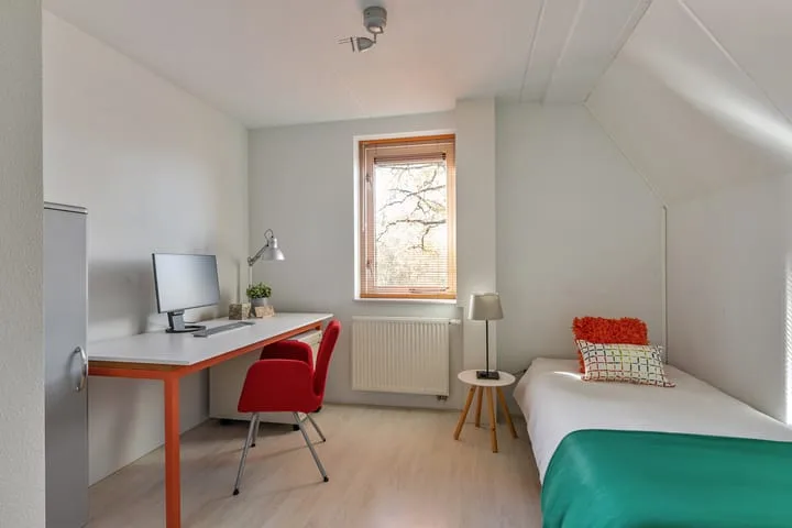 Kroeskarperstraat 68 Hengelo thumbnail 17