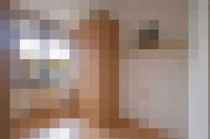 Kroesmeestersdreef 1 D Maastricht thumbnail 15