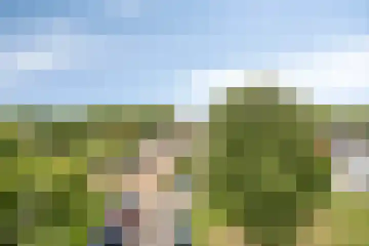 Kroesmeestersdreef 11 B Maastricht thumbnail 19
