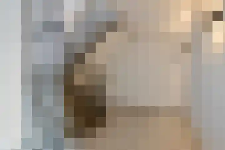 Kroesmeestersdreef 11 B Maastricht thumbnail 21