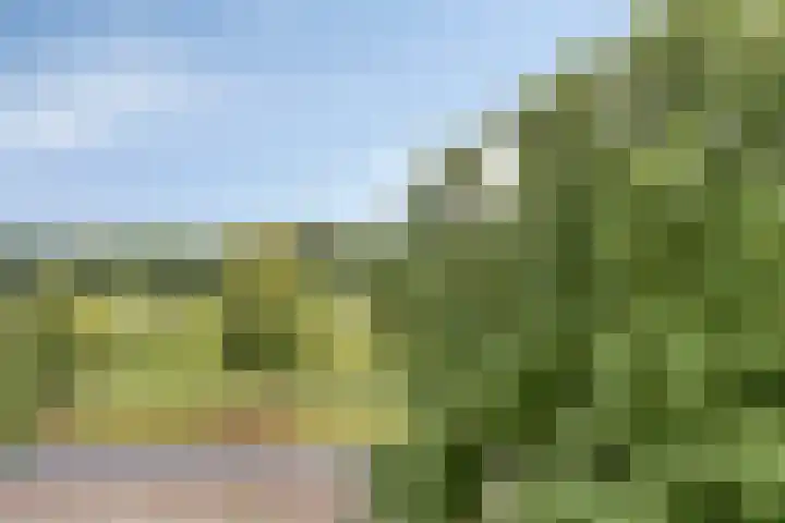Kroesmeestersdreef 11 B Maastricht thumbnail 8