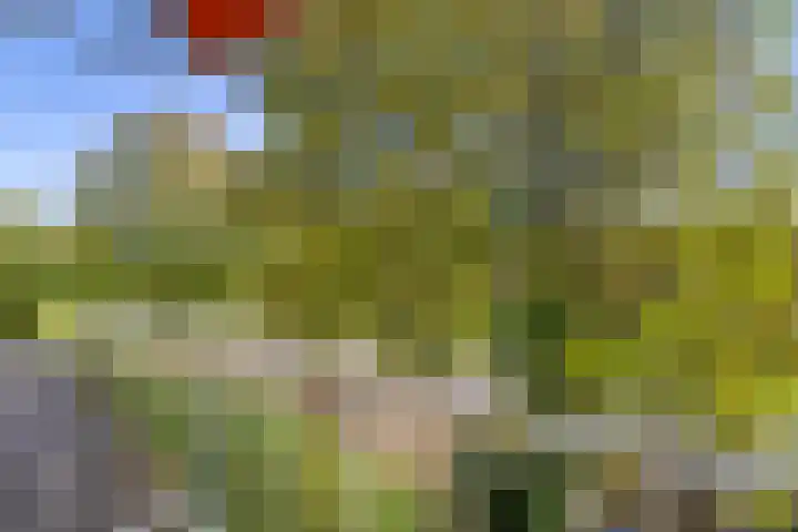 Kroesmeestersdreef 19 E Maastricht thumbnail 16