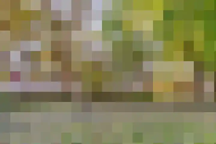 Kroesmeestersdreef 19 E Maastricht thumbnail 19