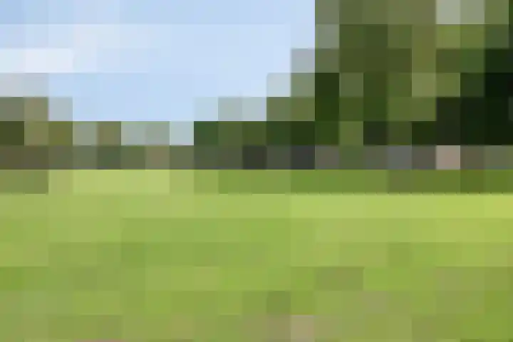 Kroesruwe 8 Maastricht thumbnail 24
