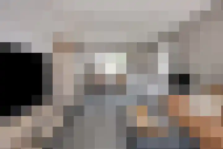 Kroesruwe 8 Maastricht thumbnail 6