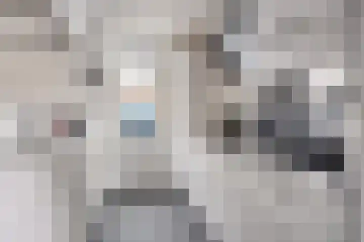 Kroesruwe 8 Maastricht thumbnail 9