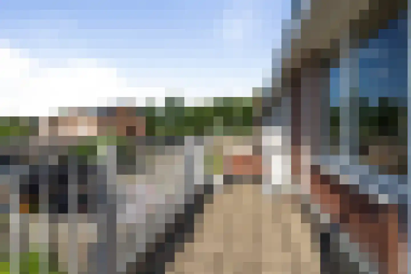 Kroeten 11 Etten-Leur thumbnail 21