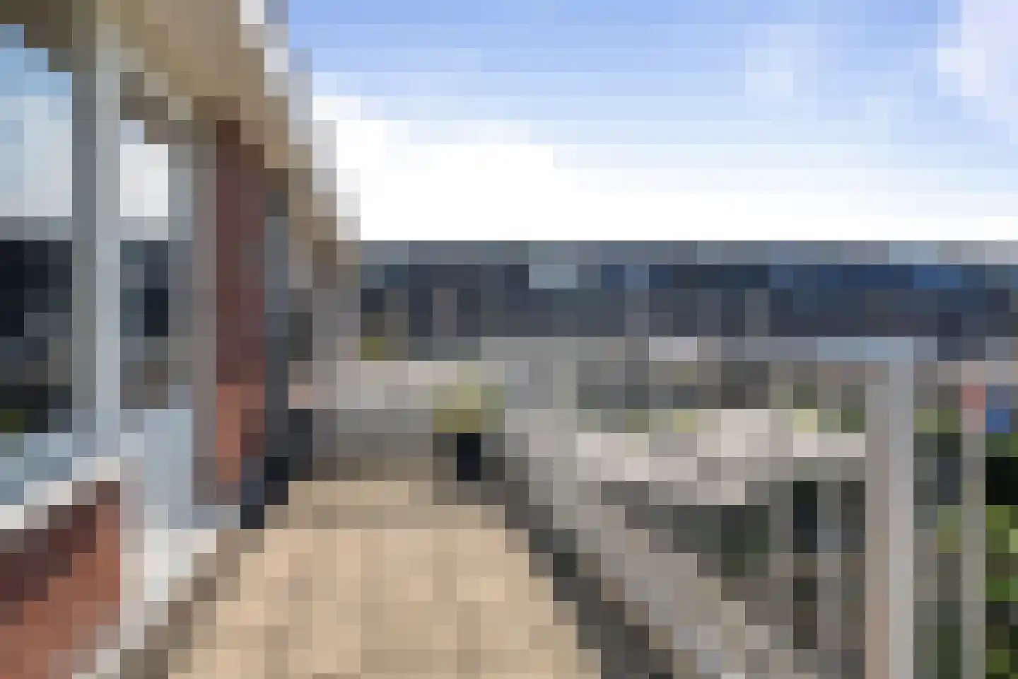 Kroeten 11 Etten-Leur thumbnail 22