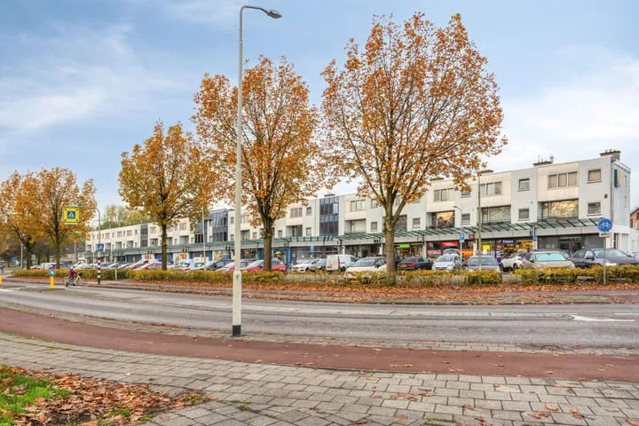 Kroevenlaan 46 Roosendaal thumbnail 26