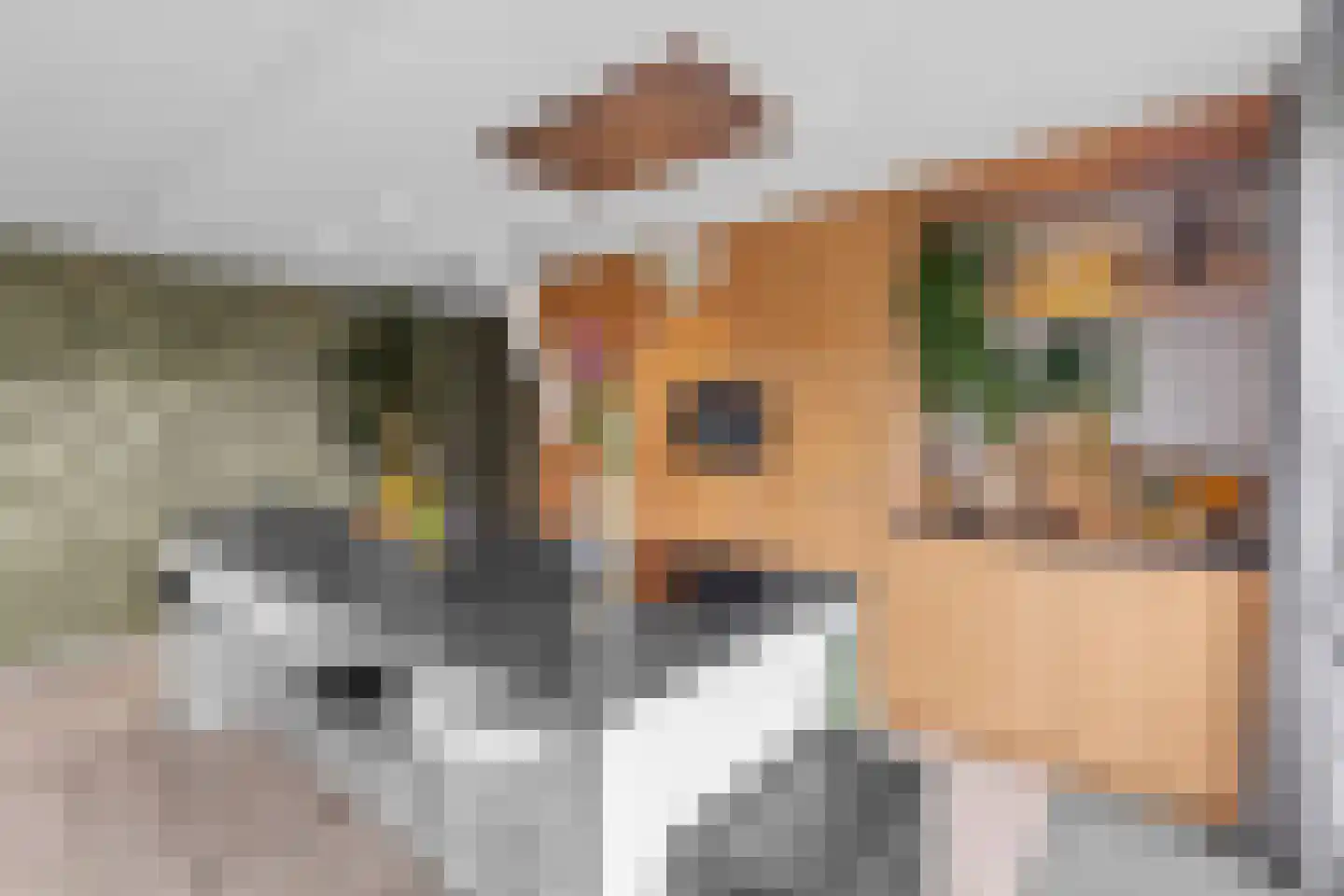 Kroevenlaan 82 Roosendaal thumbnail 5