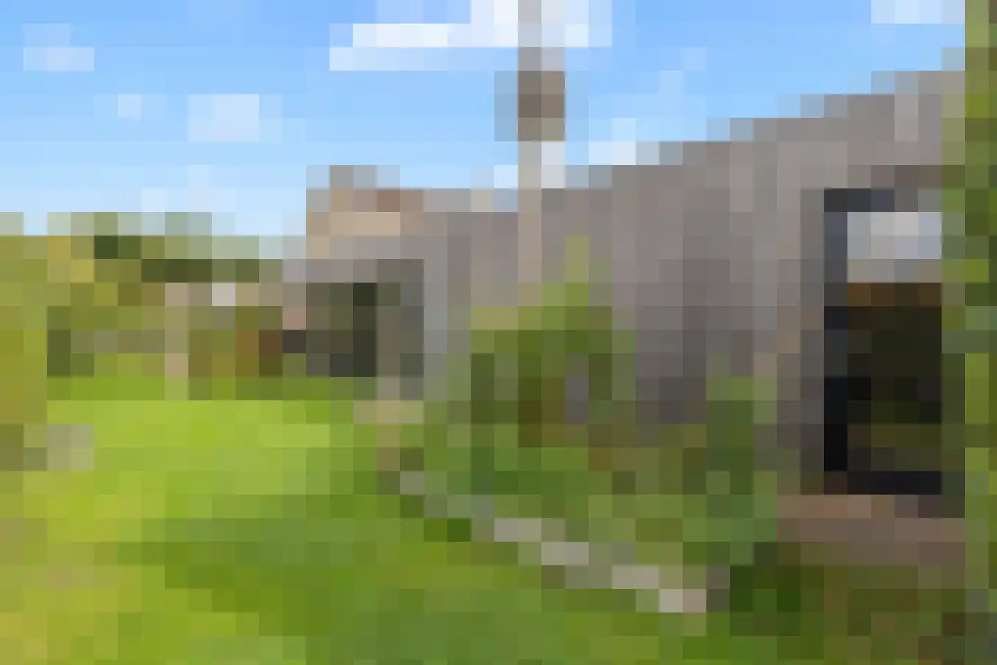 Kroevenlaan 82 Roosendaal thumbnail 58