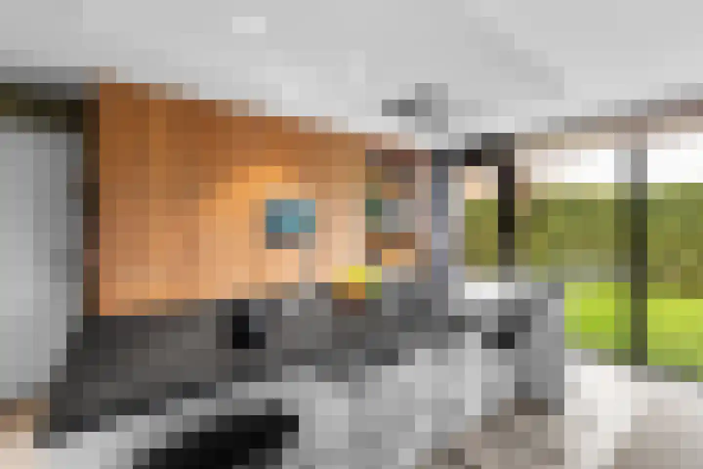 Kroevenlaan 82 Roosendaal thumbnail 6