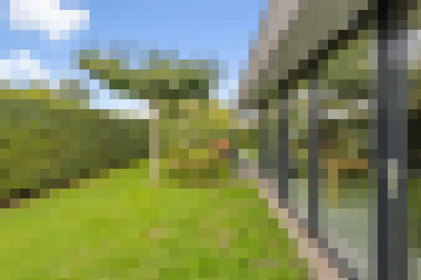 Kroevenlaan 82 Roosendaal thumbnail 61