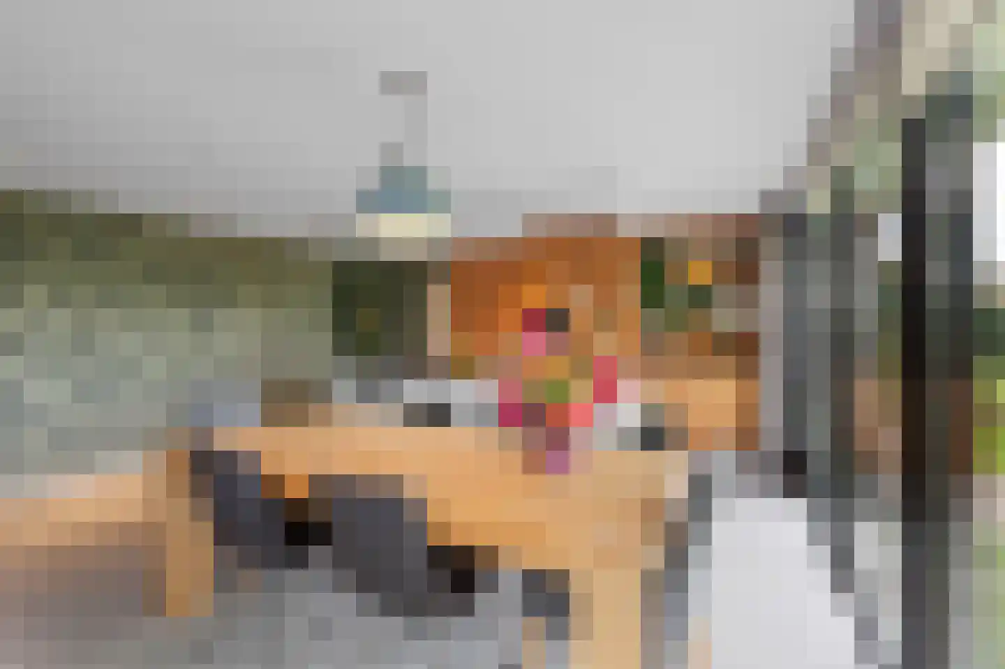 Kroevenlaan 82 Roosendaal thumbnail 7