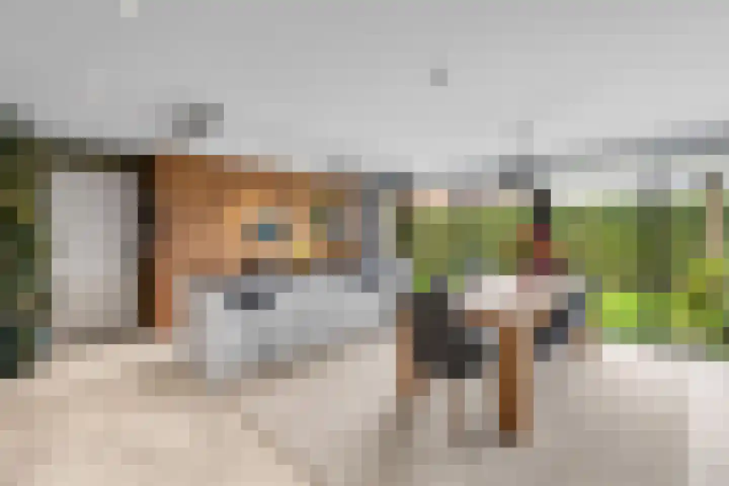 Kroevenlaan 82 Roosendaal thumbnail 8