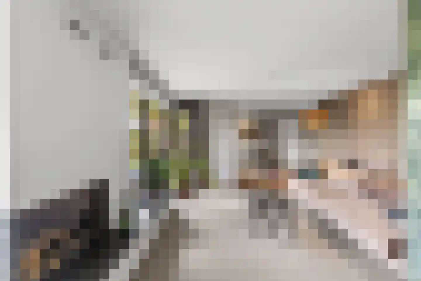 Kroevenlaan 82 Roosendaal thumbnail 9