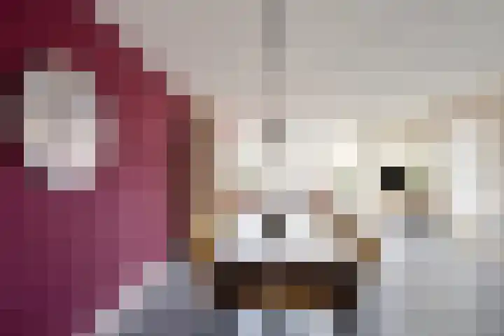 Kroezel 10 Uden thumbnail 15
