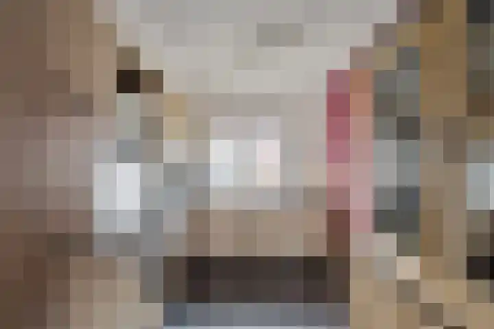 Kroezel 10 Uden thumbnail 16
