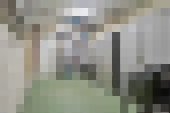 Kroezel 10 Uden thumbnail 22