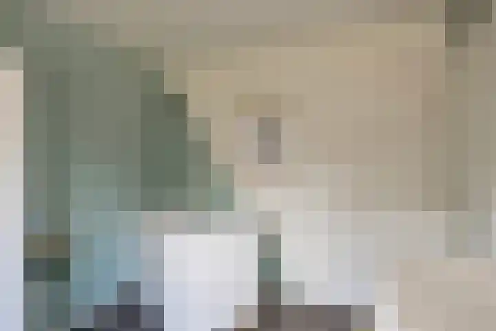 Kroezel 10 Uden thumbnail 29
