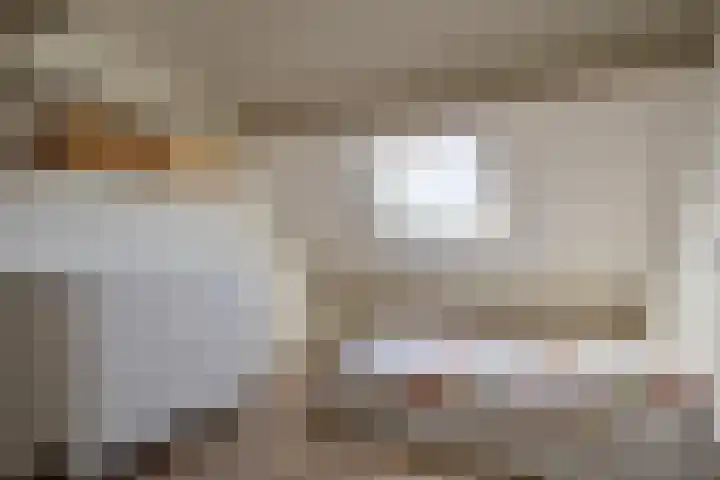Kroezel 10 Uden thumbnail 33