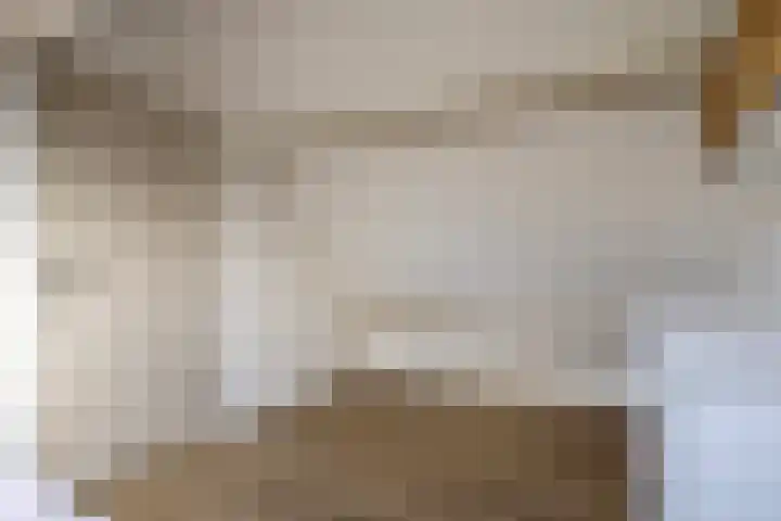 Kroezel 10 Uden thumbnail 34