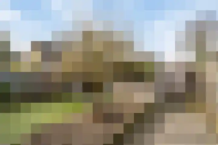 Kroezel 10 Uden thumbnail 35