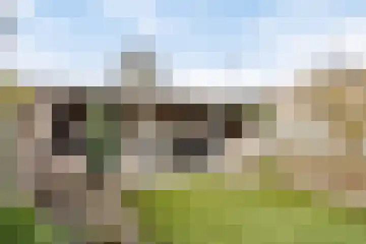 Kroezel 10 Uden thumbnail 36