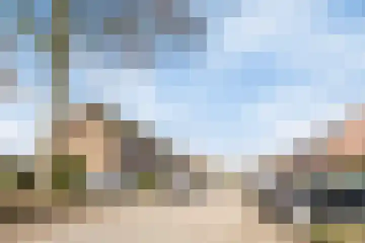Kroezel 10 Uden thumbnail 42
