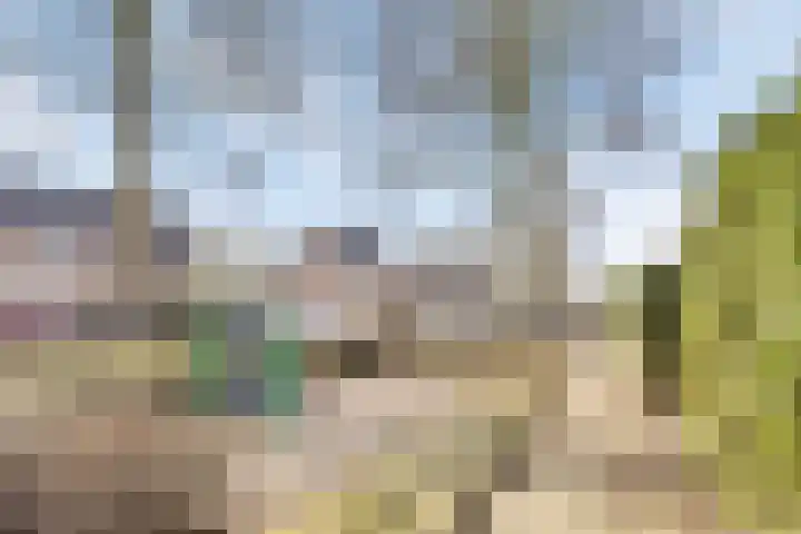 Kroezel 10 Uden thumbnail 43
