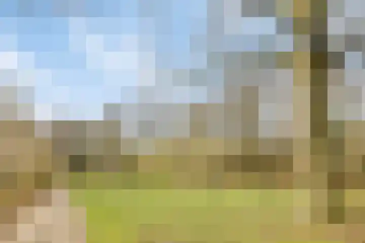 Kroezel 10 Uden thumbnail 45