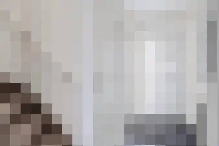 Kroezel 10 Uden thumbnail 6