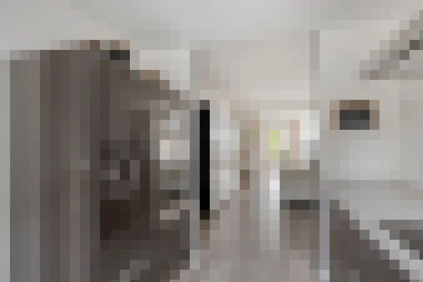 Kroezel 18 Uden thumbnail 13