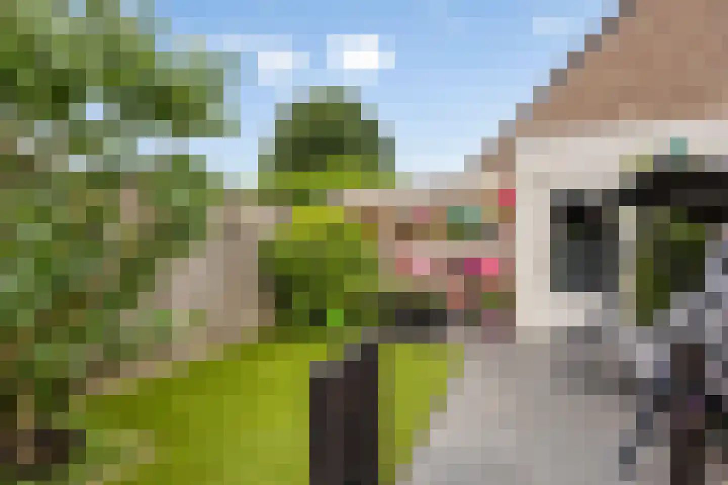 Kroezel 18 Uden thumbnail 30