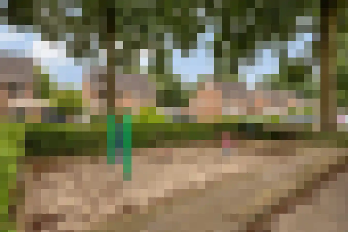 Kroezel 18 Uden thumbnail 35