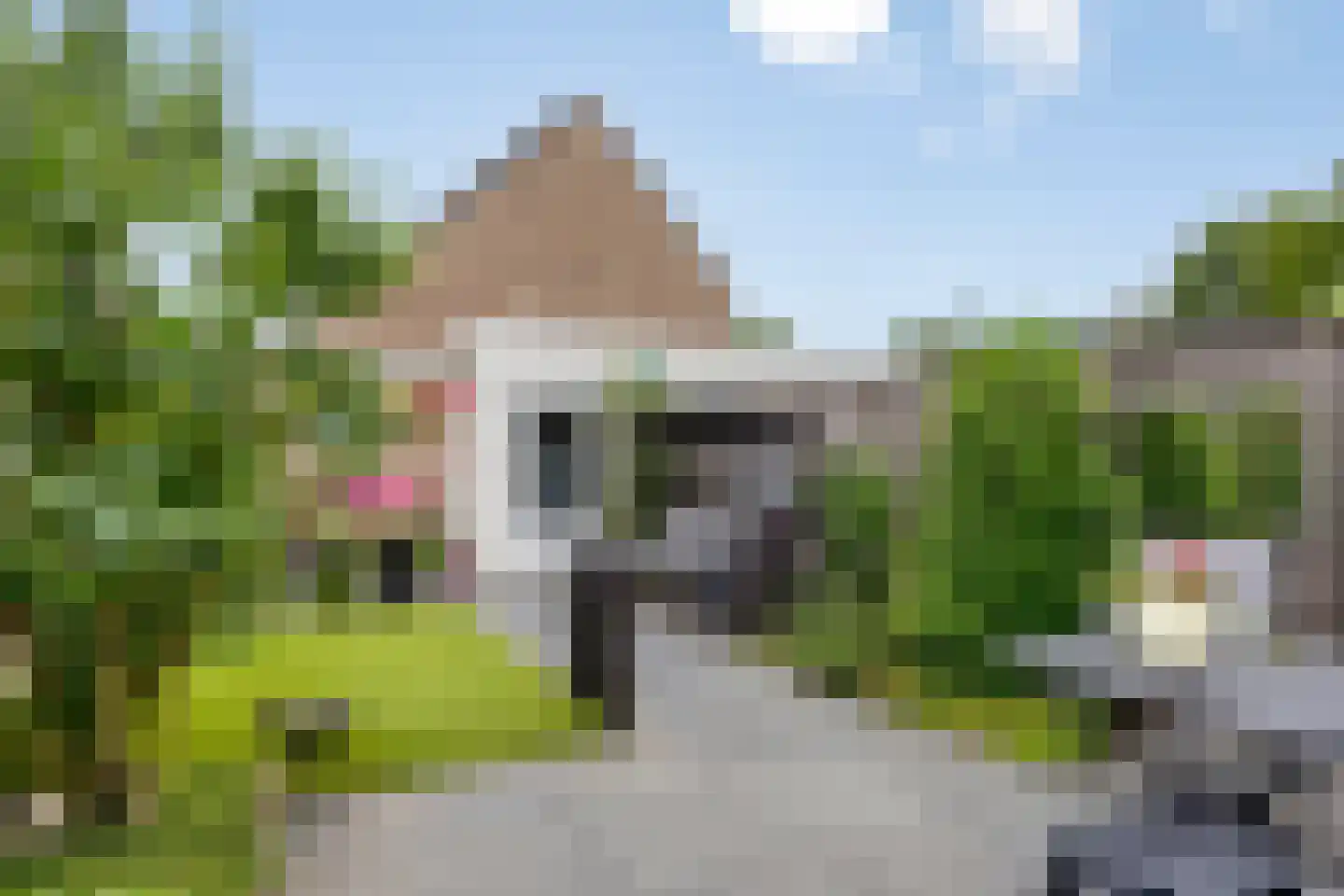 Kroezel 18 Uden thumbnail 4