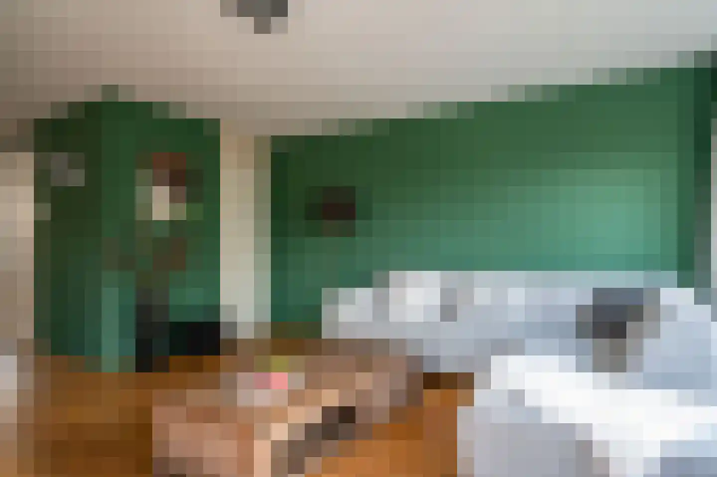 Kroezenmaat 26 Ruinen thumbnail 12