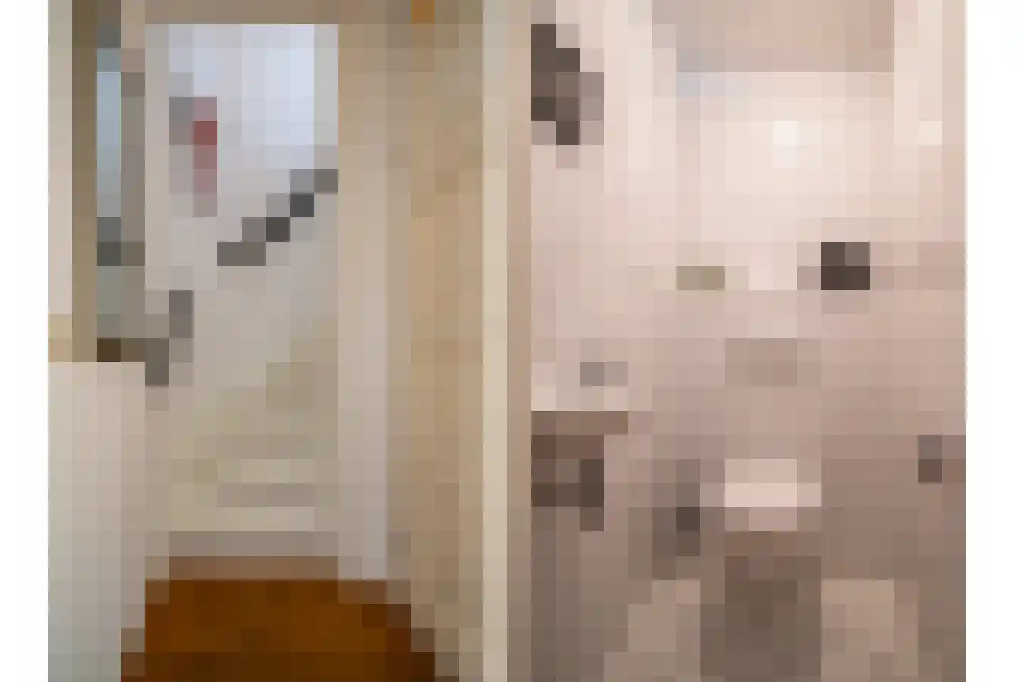 Kroezenmaat 26 Ruinen thumbnail 13