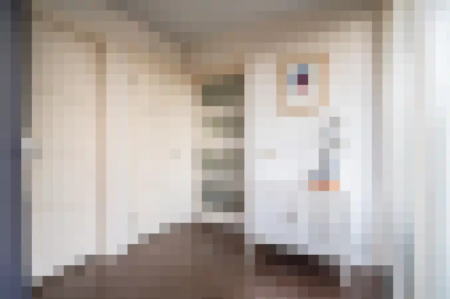 Kroezenmaat 26 Ruinen thumbnail 4