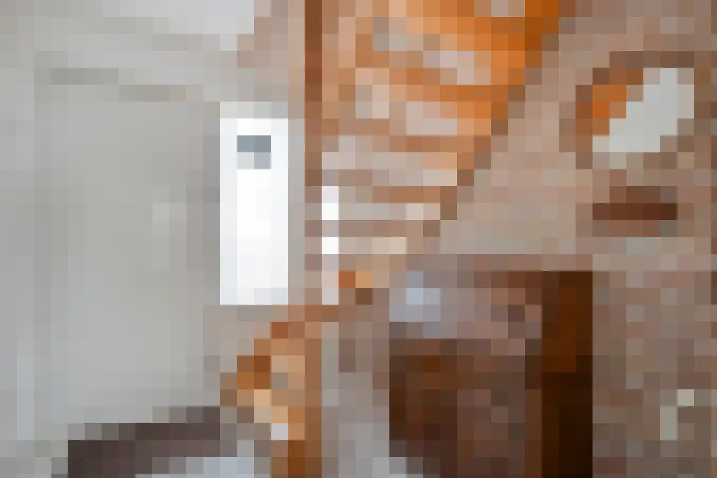 Kroezenmaat 3 Ruinen thumbnail 11